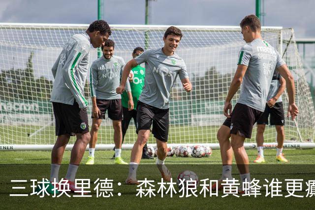 三球换里德：森林狼和黄蜂谁更癫？！